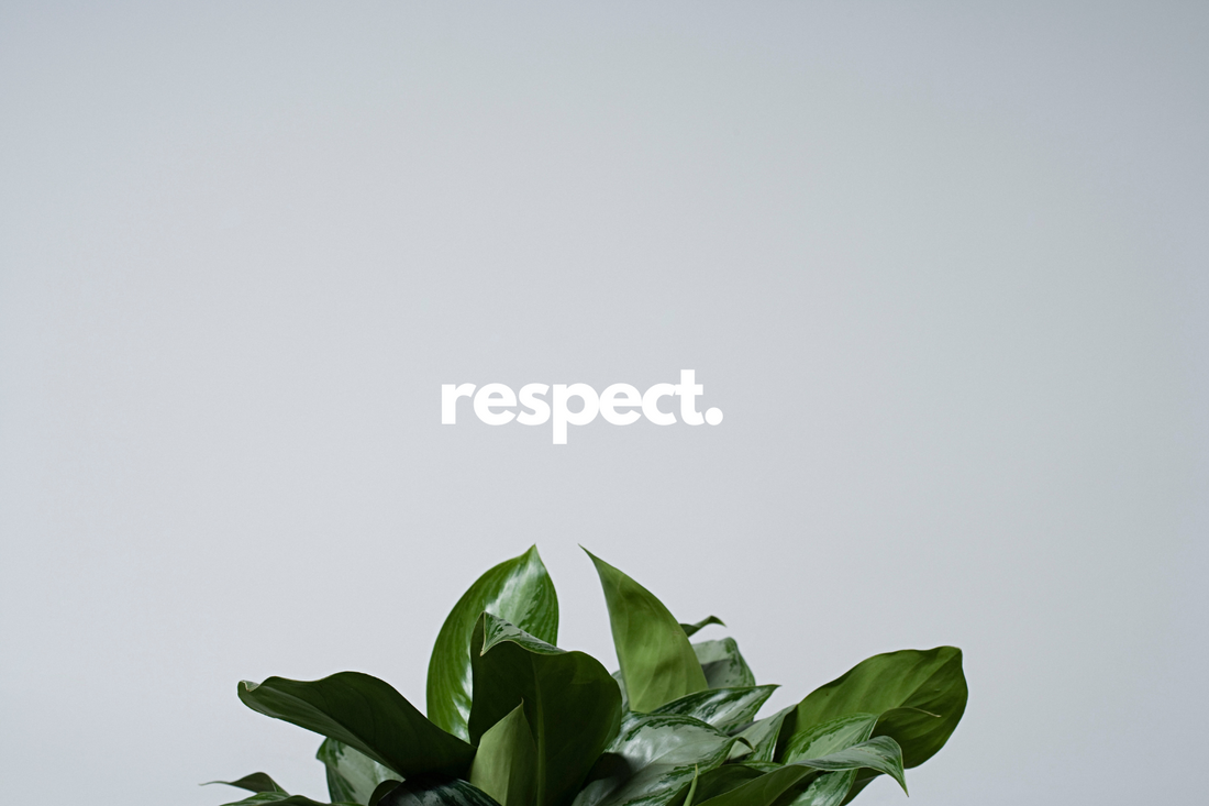 Moissanite: Respect for Nature